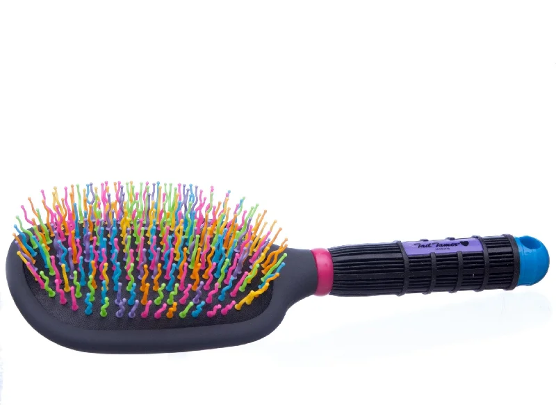 Rainbow Paddle Brush